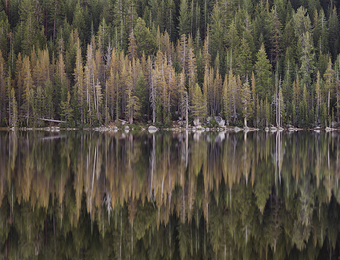 Morning, Tenaya Lake Shoreline