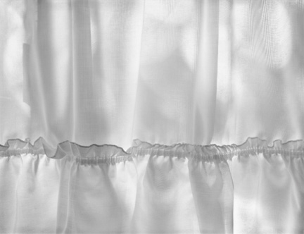 Curtain, Carmel Valley, California by Anne Larsen