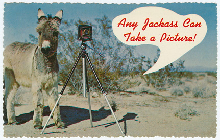 Any Jackass Can Take a Picture Post Card