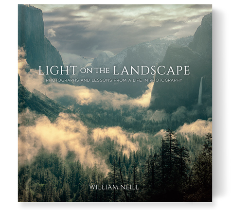 Light on the Landscape by William Neill