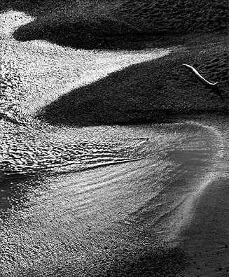 Surf and Driftwood, Point Lobos by John Sexton