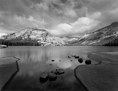 Merced River and Forest