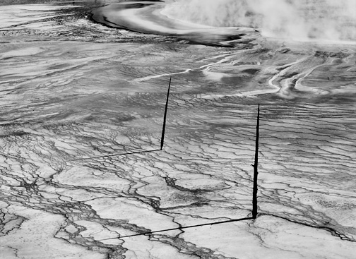 Two Trees,, Grand Prismatic Pool by John Sexton